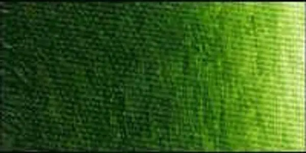 Olejová barva Old Holland 40ml – 292 Sap Green Lake Extra