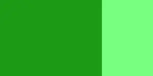 Kvašová barva Schmincke 20ml – 561 fir green