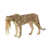 Mojo Gepard s mládětem