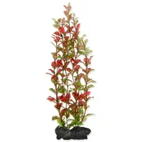 Dekorace Tetra Rostlina Red Ludwigia L 30cm
