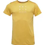 Devold ACTIVE 1853 TEE Pánske tričko, žltá, veľkosť