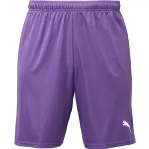 Puma TEAMGOAL SHORTS Pánske futbalové šortky, fialová, veľkosť