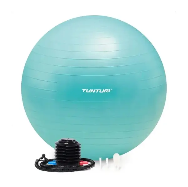 Gymnastický míč s pumpičkou zosilnený 65 cm varianta Tyrkysový