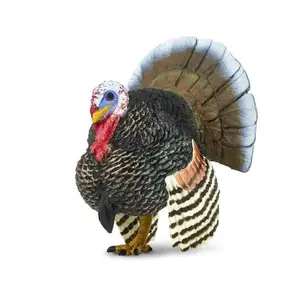 Safari® Morčák domácí
