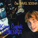 Pavel Socha – Čapek: Dášeňka čili život štěněte