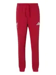 ADIDAS PERFORMANCE Nohavice  červená