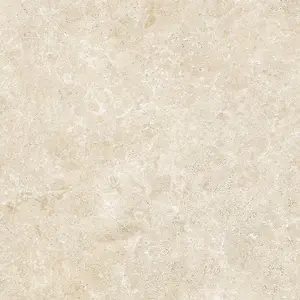 Beelitz Beige Str 59,8/59,8