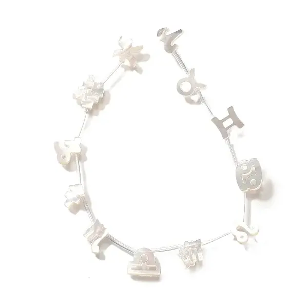 12Pcs 12 Styles Natural White Shell Beads