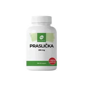 DR. FLEMING Praslička 250mg +10% grátis 110ks