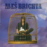 Aleš Brichta – Růže pro Algernon