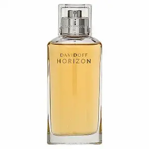 Davidoff Horizon toaletná voda pre mužov 125 ml
