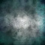 Aleš Agi Bojanovský – Stříbrná