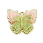 Alloy & Resin & Glitter Powder Pendants