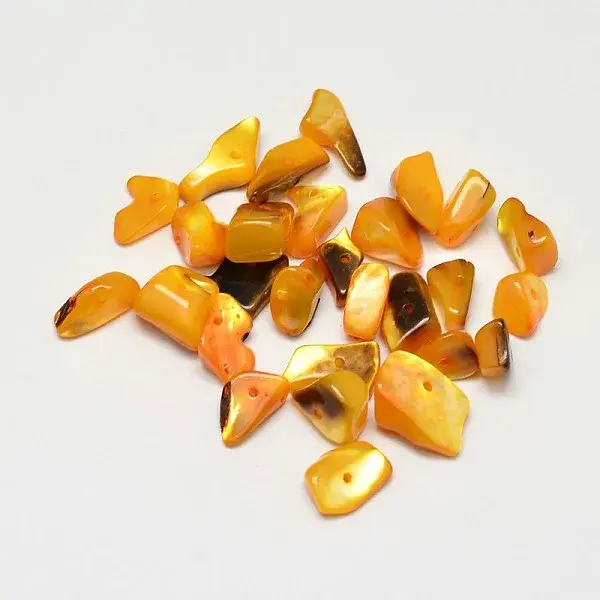 Dyed Natural Shell Nuggets Chips Beads