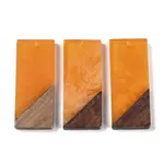 Resin & Wood Pendants