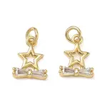 Brass Micro Pave Clear Cubic Zirconia Charms