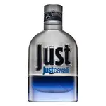 Roberto Cavalli Just Cavalli Him 2013 toaletní voda pro muže 30 ml