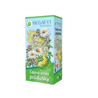 MEGAFYT Čajová směs průdušky 20 x 1.5 g