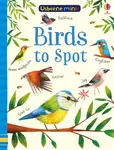 Birds to Spot - Kirsteen Robson, Sam Smith