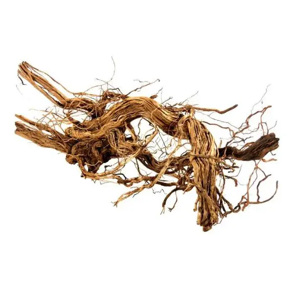 Dragon Wood XXXL 90-120cm 1 kus