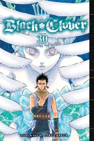 Black Clover, Vol. 30 - Yuki Tabata