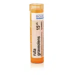 Ruta graveolens 15CH granule 4g