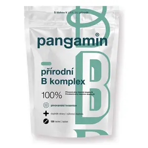 PANGAMIN Přírodní B komplex 120 tablet