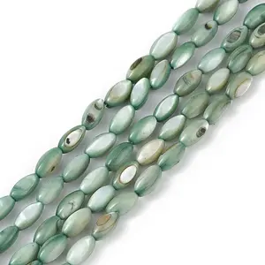 Natural Freshwater Shell Dyed Beads Strands