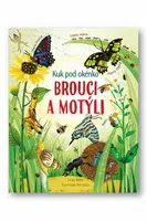 Kuk pod okénko - Brouci a motýli  Emily Bone, Nat Hues - Emily Bone