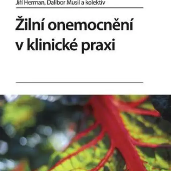 Žilní onemocnění v klinické praxi - Dalibor Musil, Jiří Herman - e-kniha