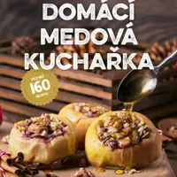 Domácí medová kuchařka - Petra Rubášová