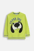 Dětská bavlněná mikina Coccodrillo