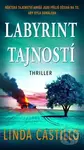 Labyrint tajností (Některá tajemství amišů jsou příliš děsivá na to, aby byla odhalena) - kniha z kategorie Detektivky, thrillery a horory