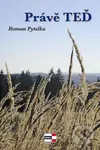 Právě teď - Roman Pytelka