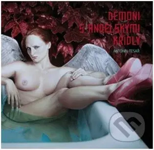 Démoni s andělskými křídly - Antonín Tesař - kniha z kategorie Malířství