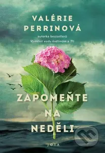 Zapomeňte na neděli - Valérie Perrin - kniha z kategorie Společenská beletrie