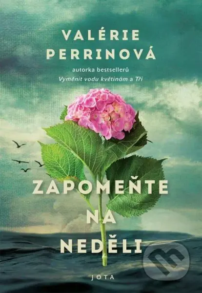 Zapomeňte na neděli - Valérie Perrin - kniha z kategorie Společenská beletrie