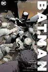 Batman Omnibus 1 - Scott Snyder