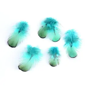 Chicken Feather Costume Accessories