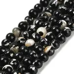 Assembled Synthetic Stone and Trochus Shell Beads Strands
