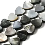 Natural Black Lip Shell Beads Strands