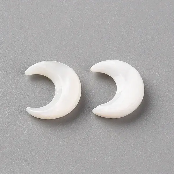 Natural White Shell Beads