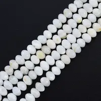 Natural Freshwater Shell Beads Strands