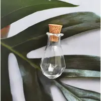 Clear Glass Cork Bottles Ornament