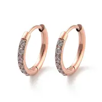Ion Plating(IP) 316 Surgical Stainless Steel Pave Clear Cubic Zirconia Hoop Earrings Women