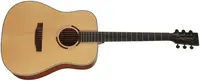 Tanglewood TS5