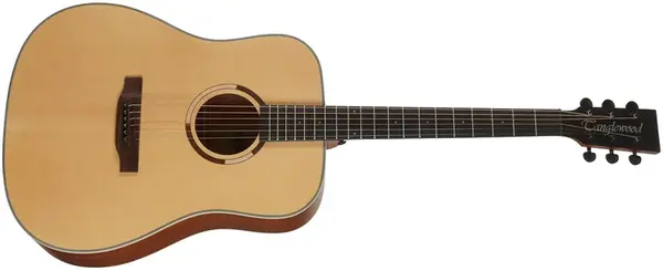 Tanglewood TS5