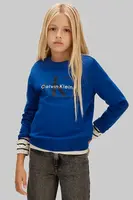 Dětská bavlněná mikina Calvin Klein Jeans modrá barva, s potiskem, IU0IU00714