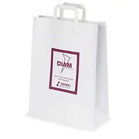 500 x Reklamní papírové tašky s jednostranným potiskem, 450 x 490 x 150 mm