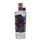 Raspenava Exotic Blueberry 42% 0,5 l